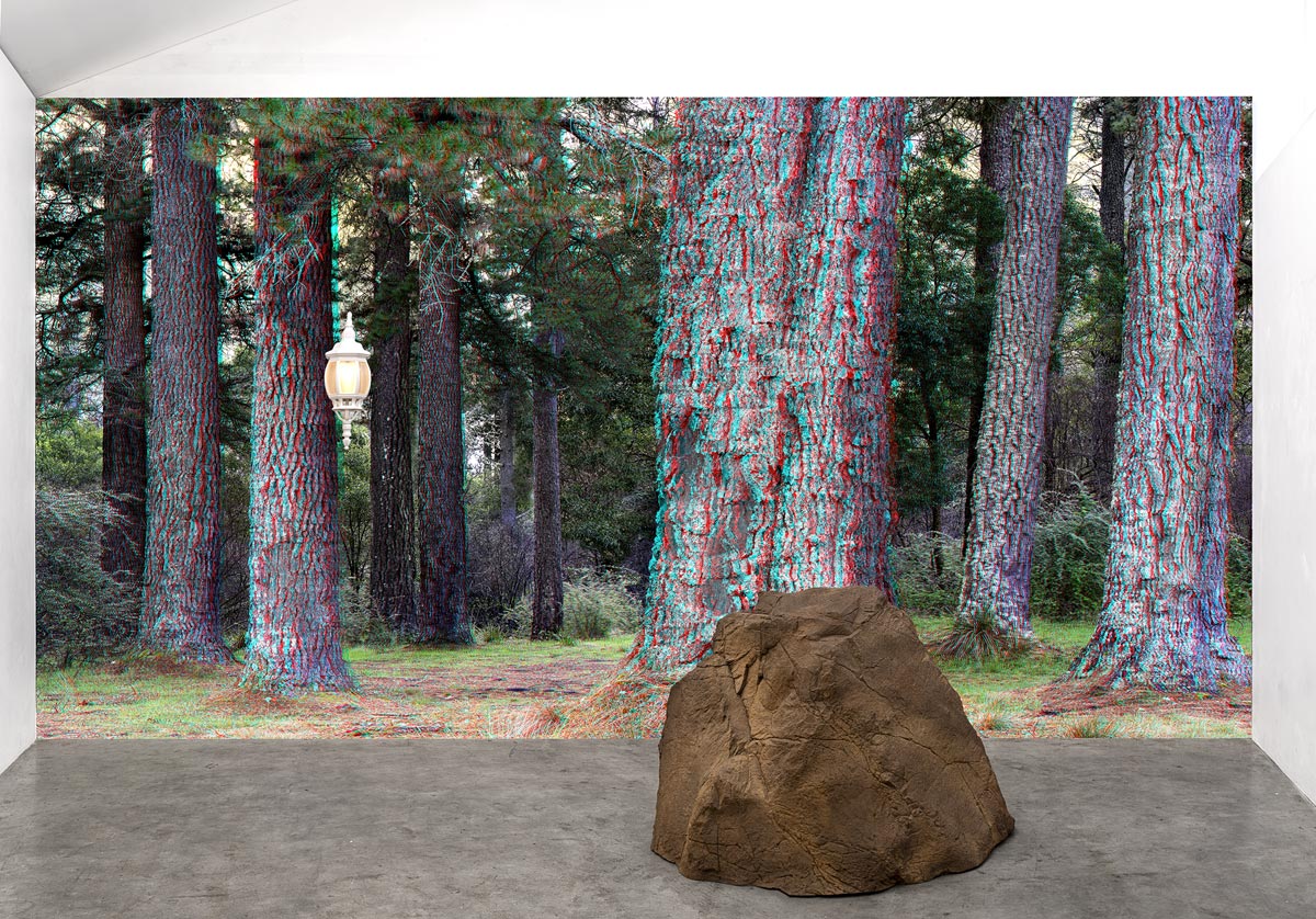 01_Good-Forest_n1