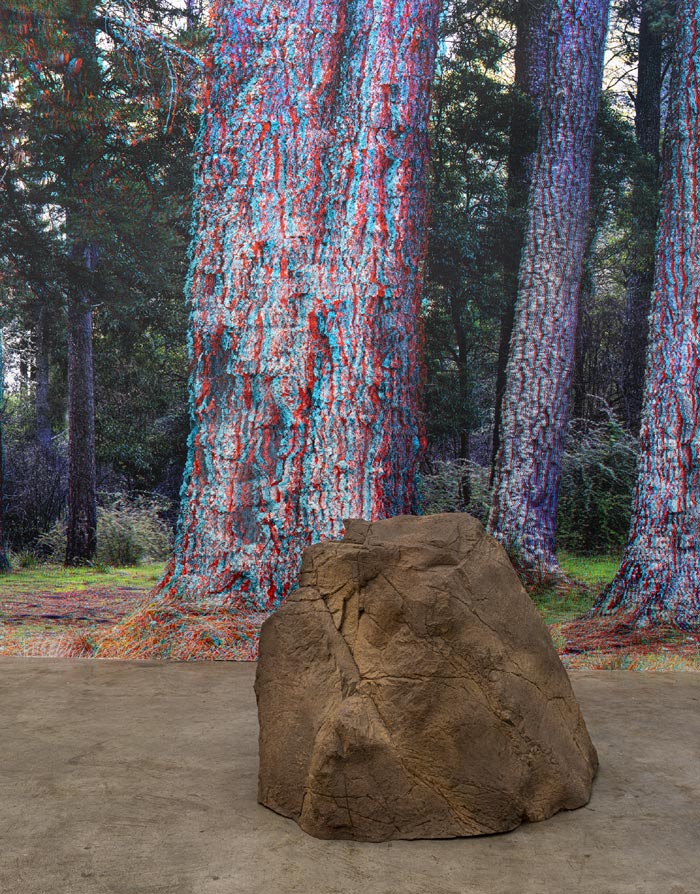 04_Good-Forest_n4